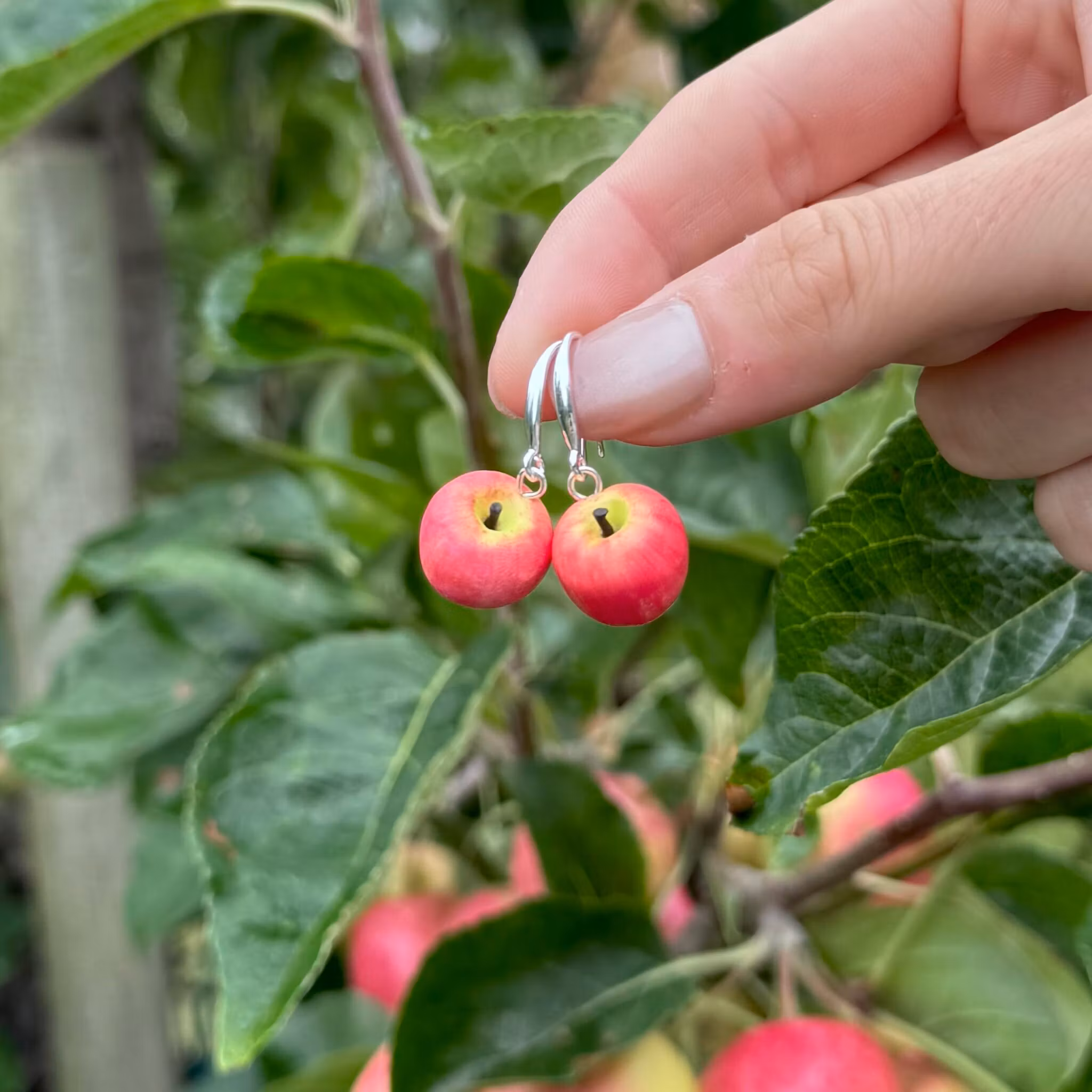 Äpplen Pink Lady örhängen