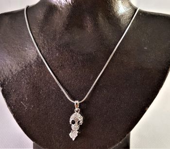 Halsband med glittrande dödskalle och sten grå