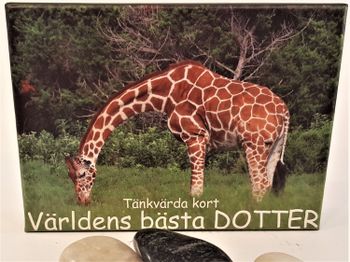Tänkvärda kort!!