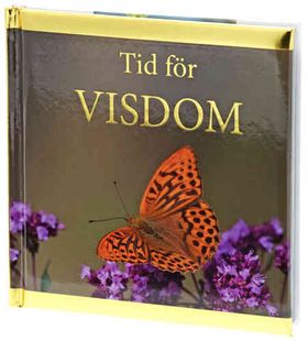Tid för visdom
