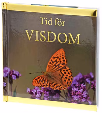 Tid för visdom