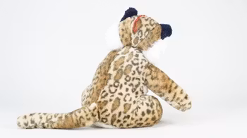 Sittandes leopard