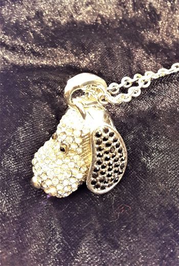 Halsband med hänge Snobben och strass silverfärg