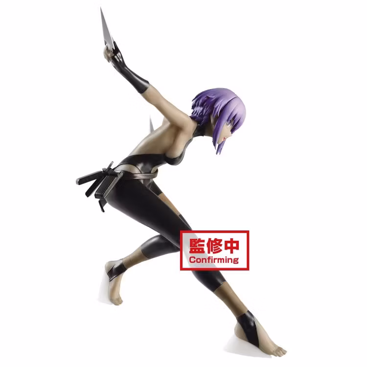 Fate/Grand Order Hassan of the Serenity Servant Figure