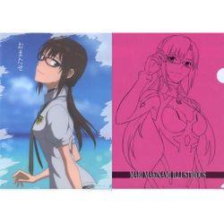 Evangelion Ichibansho EVA 01 vs EVA 13 Folder Set (G)