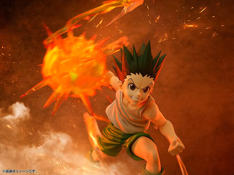 Hunter x Hunter Gon Freecss