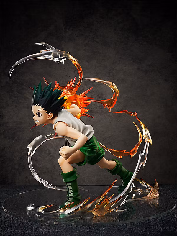 Hunter x Hunter Gon Freecss