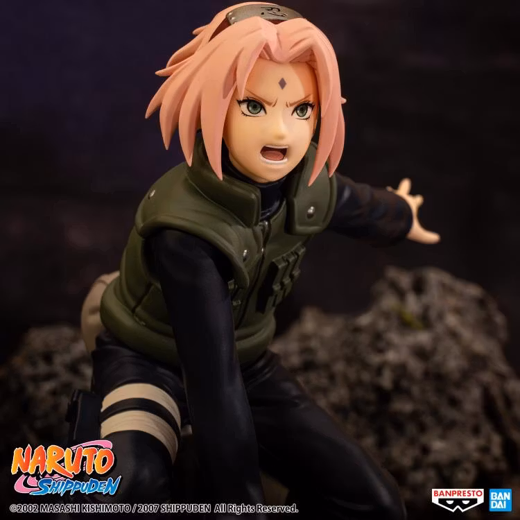 Naruto Shippuden Panel Spectacle Sakura Haruno