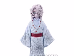 Demon Slayer: Kimetsu no Yaiba Demon Series Vol.12 Rui