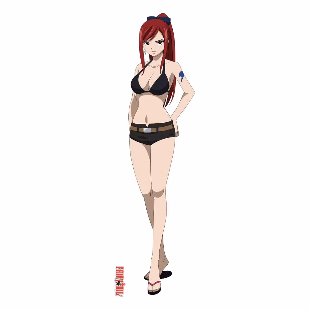 Fairy Tail Dakimakura Pillow Case Erza Scarlet