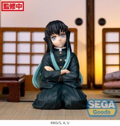 Demon Slayer: Kimetsu no Yaiba Muichiro Tokito (Swordsmith Village Arc) Premium Perching Figure