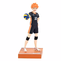 Haikyu!! Shoyo Hinata