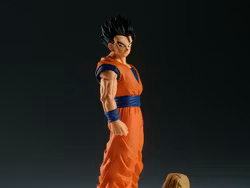 Dragon Ball Z History Box Vol.11 Adult Gohan