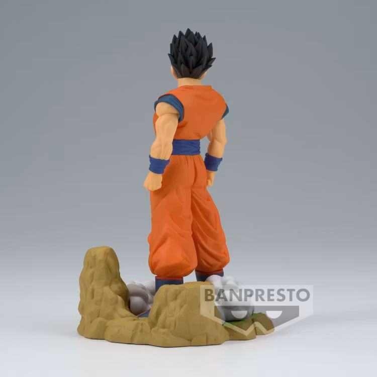 Dragon Ball Z History Box Vol.11 Adult Gohan