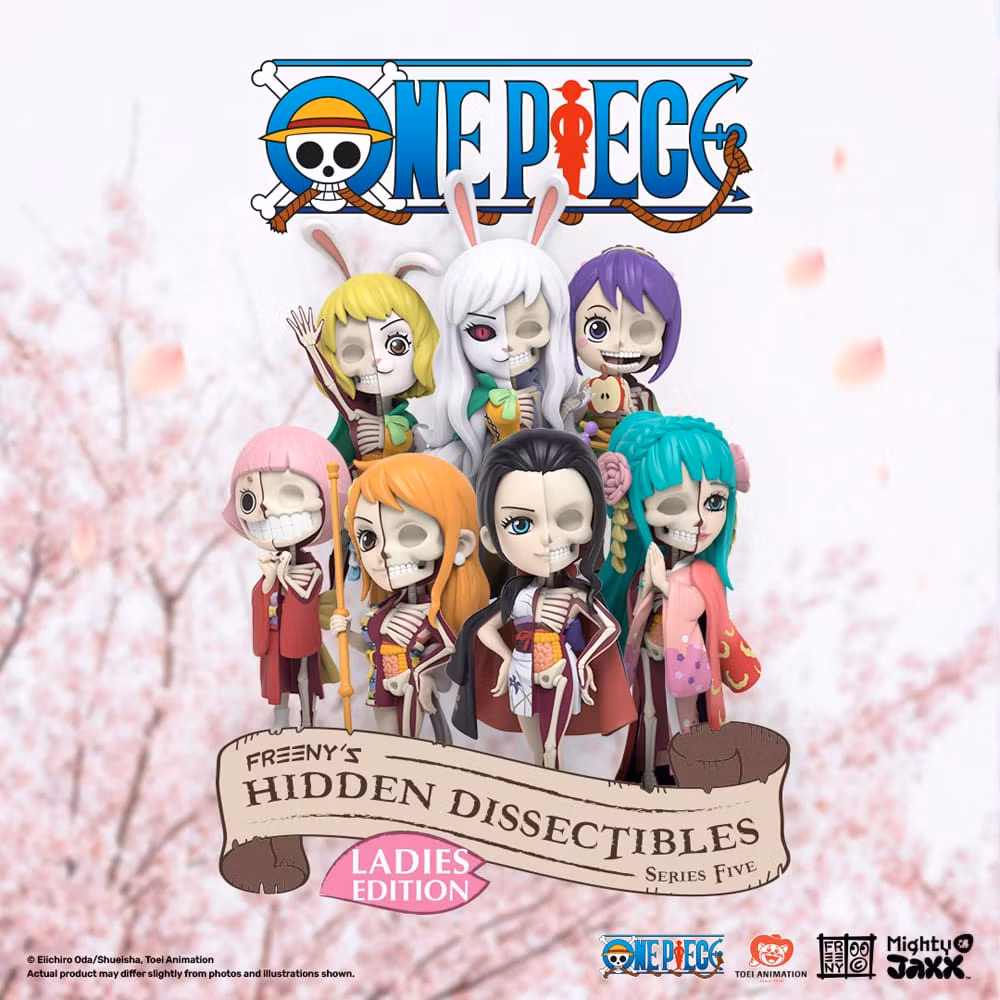 One Piece Freeny's Hidden Dissectibles Series 5 (Ladies Edition) Box of 3 Random Figures