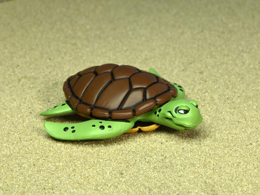 Teenage Mutant Ninja Turtles Adventures Man Ray