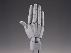 Takahiro Kagami Artist Support Item Hand Model (Men's Right Hand Gray Ver.)