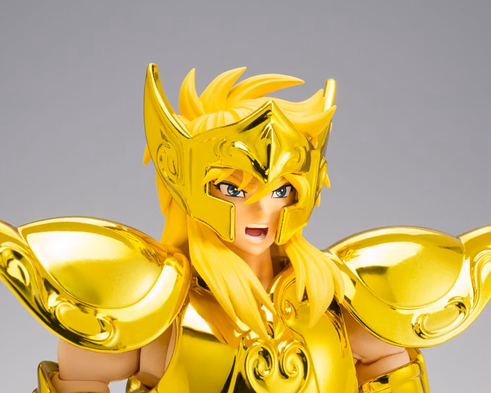 Saint Seiya Myth Cloth EX Aquarius Hyoga (Inheritor of the Gold Cloth Ver.)