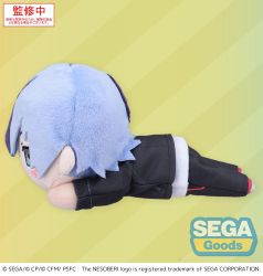 Colorful Stage! The Movie: A Miku Who Can't Sing Nesoberi Lay-Down Plush Figure Aoyagi Toya