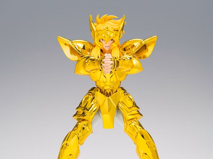 Saint Seiya Myth Cloth EX Aquarius Hyoga (Inheritor of the Gold Cloth Ver.)