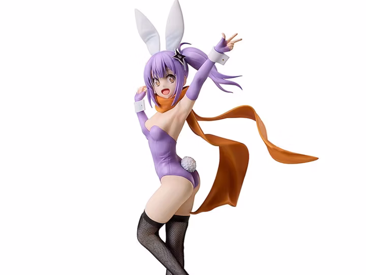 A Ninja and an Assassin Under One Roof B-Style Satoko Kusagakure (Bunny Ver.)