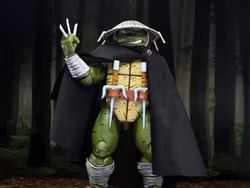 Teenage Mutant Ninja Turtles Old Man Raphael (Mirage Comics) Action Figure