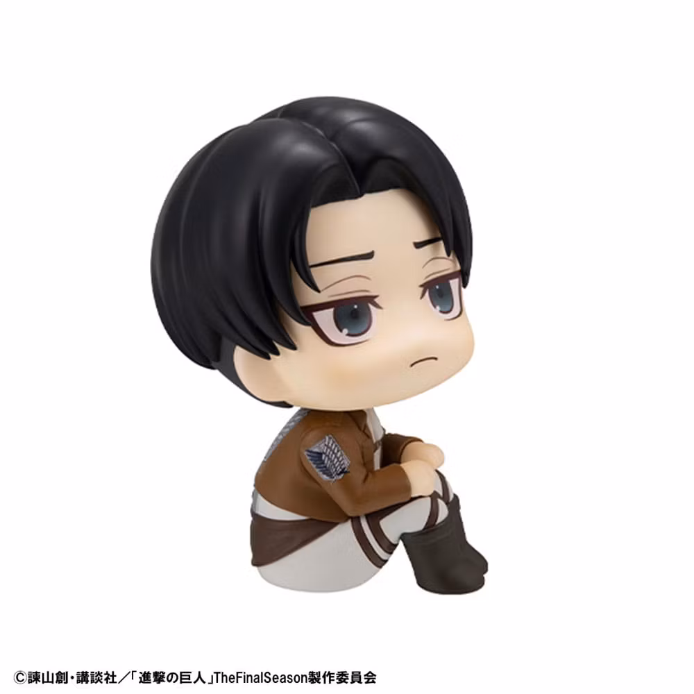 Attack on Titan Look Up Series Levi