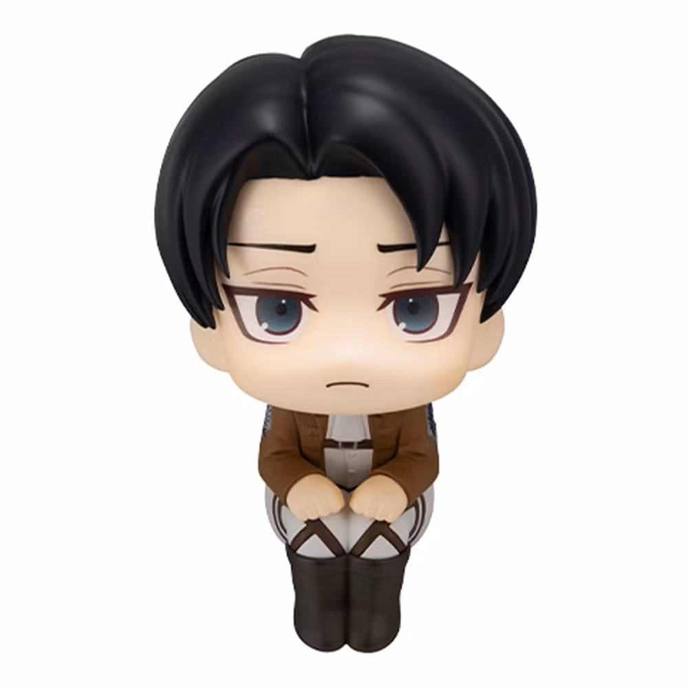 Attack on Titan Look Up Series Levi