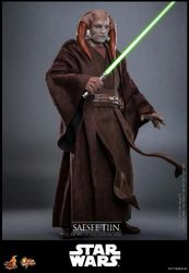Star Wars: Revenge of the Sith MMS820 Saesee Tiin 1/6th Scale Collectible Figure