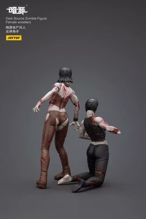 Dark Source Zombie Female Wrestlers 1/25 Scale Figure Set