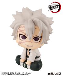 Demon Slayer: Kimetsu no Yaiba Look Up Series Shinazugawa Sanemi (Rerelease)