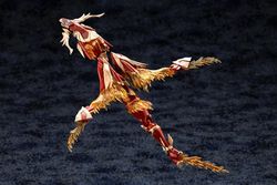 Arcanadea XenoAlma Blaze Ophis Model Kit