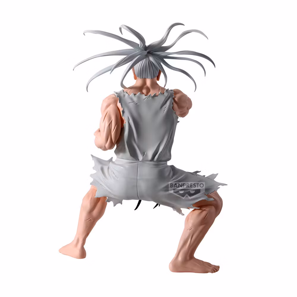 Hunter x Hunter Hunting Archives Netero Figure