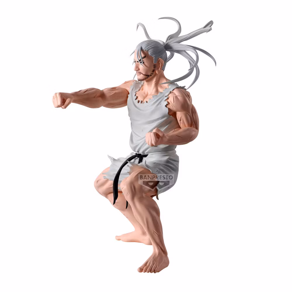 Hunter x Hunter Hunting Archives Netero Figure