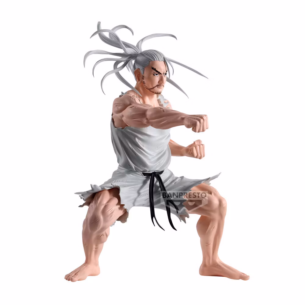 Hunter x Hunter Hunting Archives Netero Figure