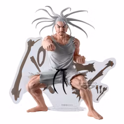 Hunter x Hunter Hunting Archives Netero Figure