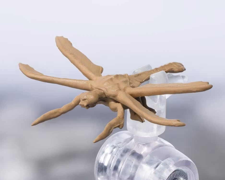 Godzilla vs. Megaguirus S.H.MonsterArts Megaguirus Action Figure