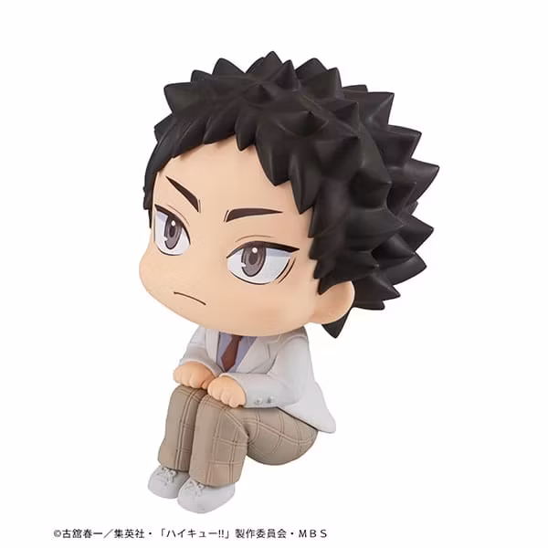 Haikyu!! Look Up Series Hajime Iwaizumi