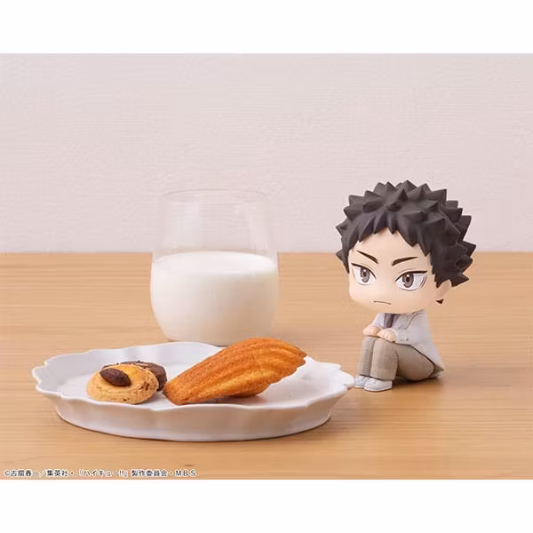 Haikyu!! Look Up Series Hajime Iwaizumi