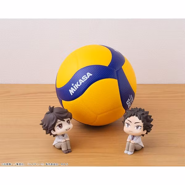 Haikyu!! Look Up Series Hajime Iwaizumi