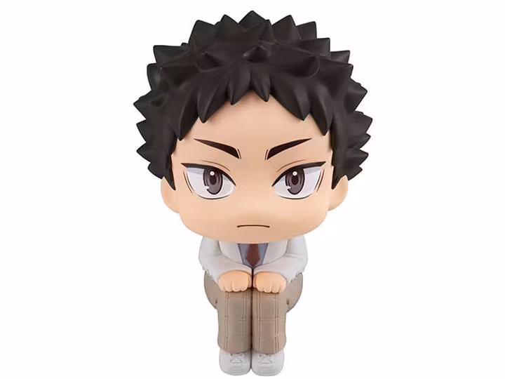 Haikyu!! Look Up Series Hajime Iwaizumi