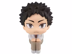 Haikyu!! Look Up Series Hajime Iwaizumi