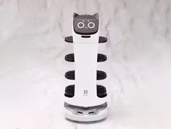 Pudu Robotics Grande Scale BellaBot Model Kit