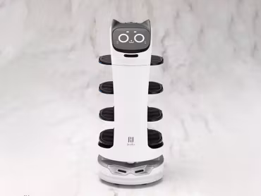 Pudu Robotics Grande Scale BellaBot Model Kit