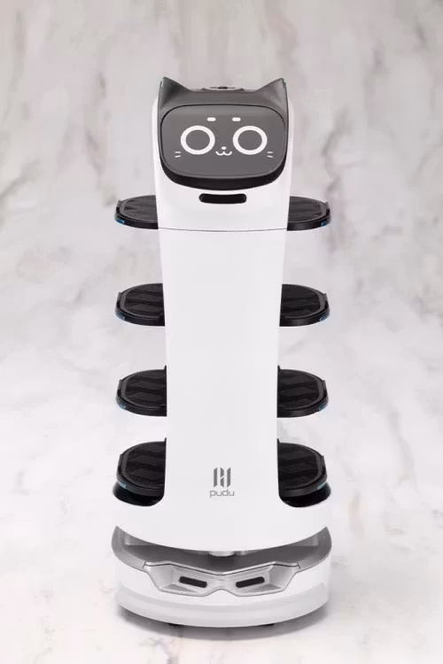 Pudu Robotics Grande Scale BellaBot Model Kit