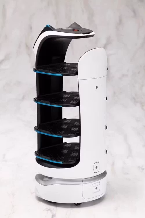 Pudu Robotics Grande Scale BellaBot Model Kit