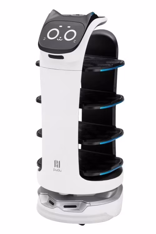 Pudu Robotics Grande Scale BellaBot Model Kit