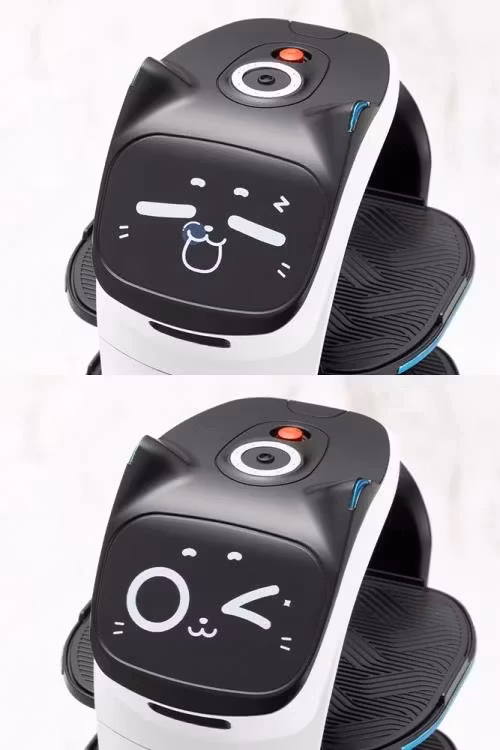 Pudu Robotics Grande Scale BellaBot Model Kit