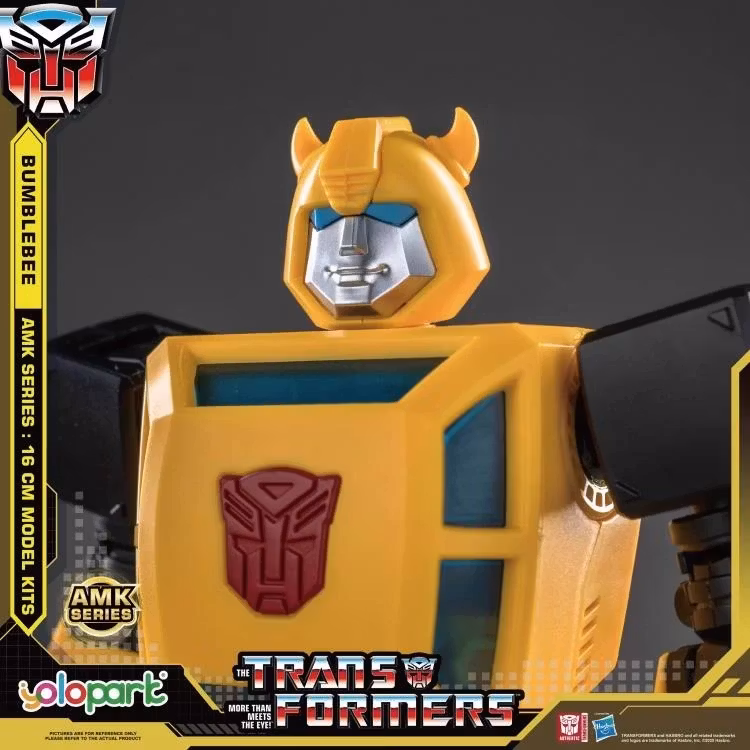 Transformers G1 Bumblebee Advanced Model Kit