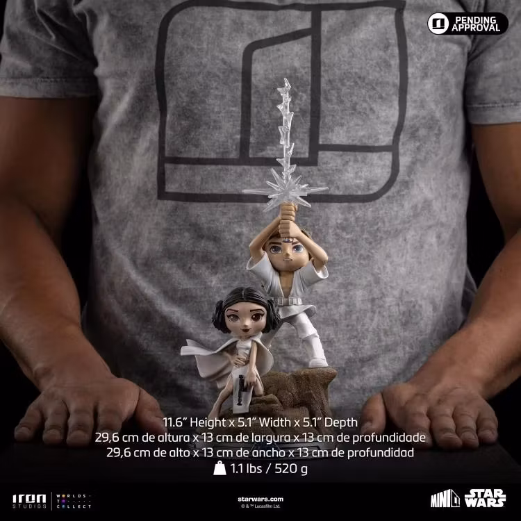 Star Wars: A New Hope MiniCo Luke and Leia Figure